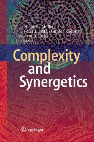 Kniha Complexity and Synergetics Armin Fuchs