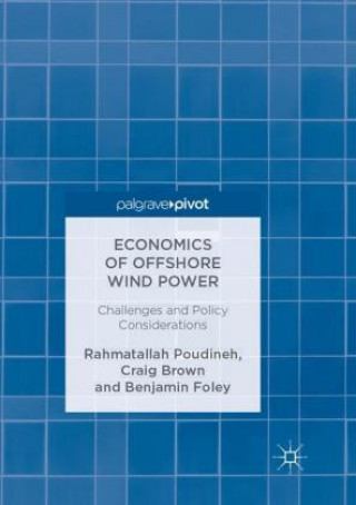 Könyv Economics of Offshore Wind Power Rahmatallah Poudineh