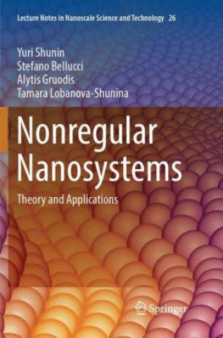 Book Nonregular Nanosystems Yuri Shunin