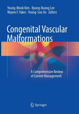 Könyv Congenital Vascular Malformations Young-Wook Kim