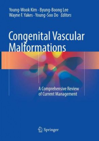 Książka Congenital Vascular Malformations Young-Wook Kim