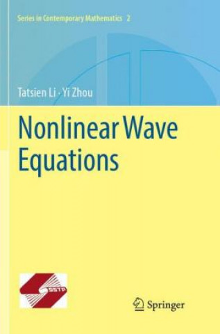 Книга Nonlinear Wave Equations Tatsien Li