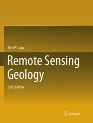 Книга Remote Sensing Geology Ravi P. Gupta