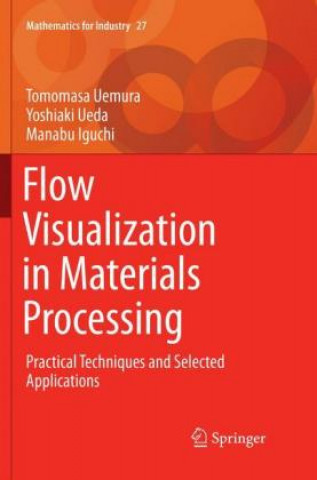 Knjiga Flow Visualization in Materials Processing Tomomasa Uemura