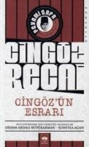 Buch Cingözün Esrari Peyami Safa