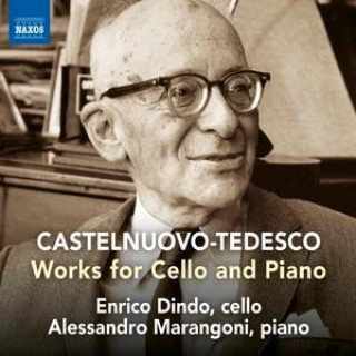 Аудио Werke für Cello und Klavier Enrico/Marangoni Dindo