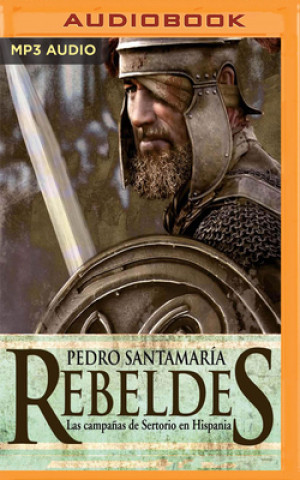 Digital REBELDES Pedro Santamaria