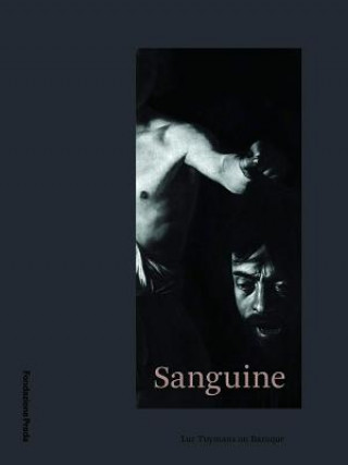 Книга Sanguine: Luc Tuymans on Baroque Patrizio Bertelli