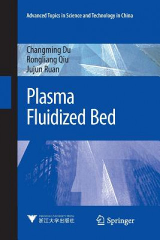 Knjiga Plasma Fluidized Bed Changming Du