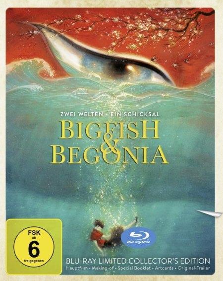 Videoclip Big Fish & Begonia - Zwei Welten - Ein Schicksal Various