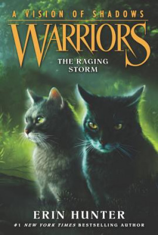 Kniha Warriors: A Vision of Shadows #6: The Raging Storm Erin Hunter