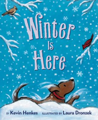 Kniha Winter Is Here Kevin Henkes