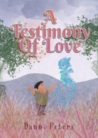 Kniha Testimony Of Love Danni Peters