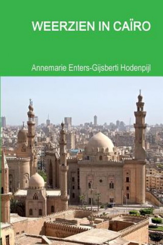 Boek Weerzien in Cairo Annemarie Enters-Gijsberti Hodenpijl