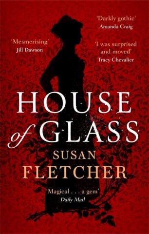 Kniha House of Glass Susan Fletcher