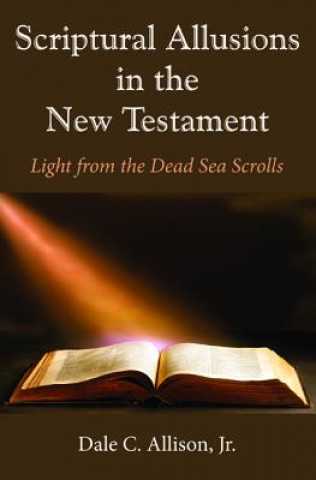 Carte Scriptural Allusions in the New Testament Allison