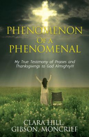 Buch Phenomenon of a Phenomenal Clara Hill