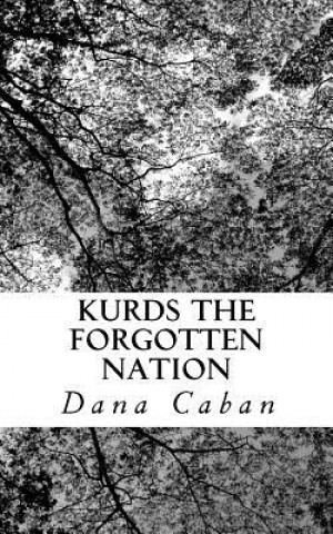 Carte Kurds The Forgotten Nation Dana Caban