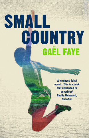 Könyv Small Country Gael Faye