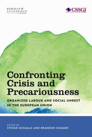 Книга Confronting Crisis and Precariousness Stefan Schmalz