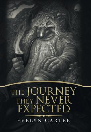 Книга Journey They Never Expected Evelyn Carter
