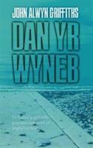 Könyv Dan yr Wyneb John Alwyn Griffiths