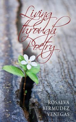 Buch Living Through Poetry Rosalva Bermudez Venegas