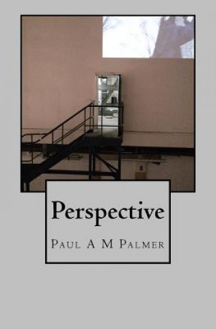 Knjiga Perspective MR Paul a M Palmer