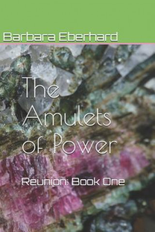 Carte The Amulets of Power: Reunion: Book One Barbara Eberhard