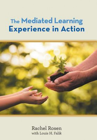 Knjiga Mediated Learning Experience in Action Rachel Rosen
