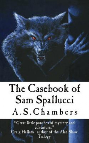 Kniha Casebook of Sam Spallucci A S Chambers