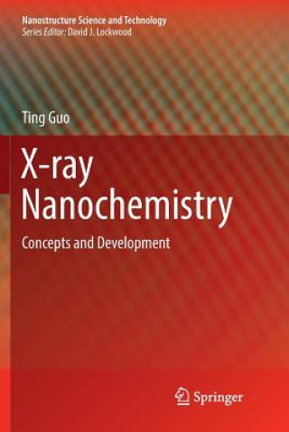Book X-ray Nanochemistry Ting Guo