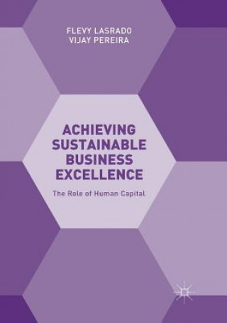 Kniha Achieving Sustainable Business Excellence Flevy Lasrado
