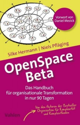 Kniha OpenSpace Beta Silke Hermann