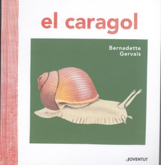 Buch EL CARAGOL BERNADETTE GERVAIS
