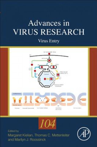 Livre Virus Entry Thomas Mettenleiter