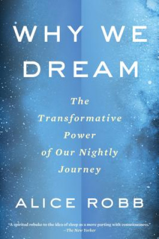 Carte Why We Dream Alice Robb