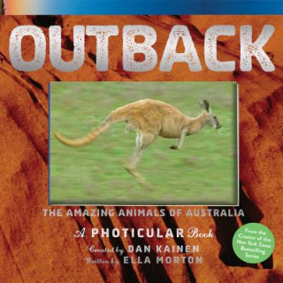 Kniha Outback Dan Kainen