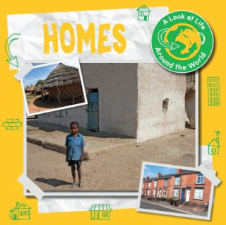 Knjiga Homes Joanna Brundle