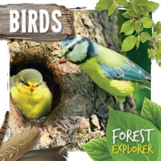 Knjiga Birds Robin Twiddy