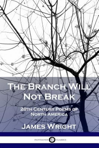 Kniha The Branch Will Not Break: 20th Century Poems of North America James Wright
