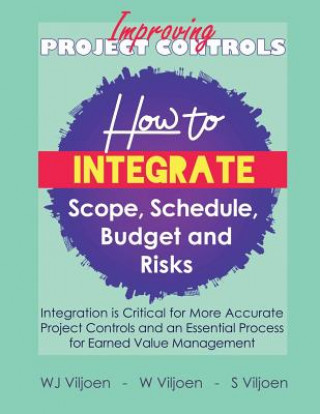 Boek Improving Project Controls W Viljoen