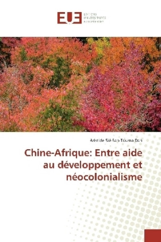 Boek Chine-Afrique Aristide Sié San-Touma Dah
