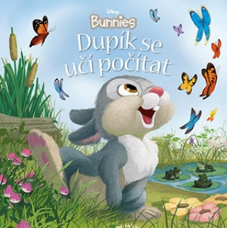 Kniha Disney Bunnies Dupík se učí počítat collegium