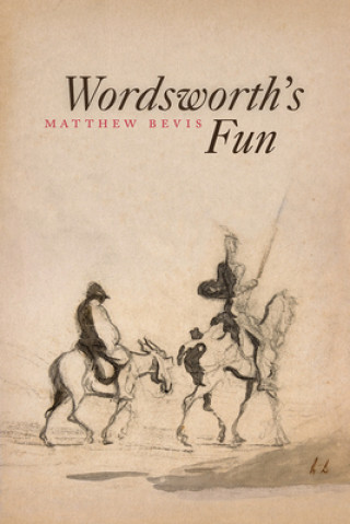 Knjiga Wordsworth's Fun Matthew Bevis
