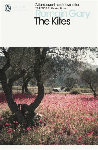 Könyv Kites Romain Gary