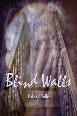 Book Blind Walls Conrad Bishop