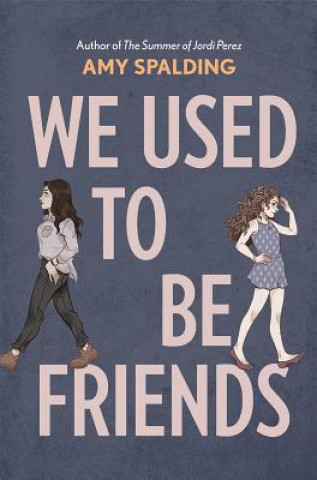 Kniha We Used to Be Friends Amy Spalding