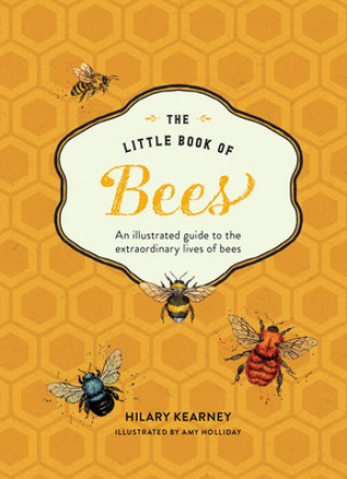Kniha Little Book of Bees: An Illustrated Guide OT the Extraordinary Lives of Bees Hilary Kearney