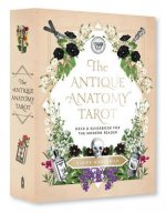 Nyomtatványok The Antique Anatomy Tarot Kit Claire Goodchild